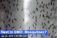 Next in GMO: Mosquitoes?