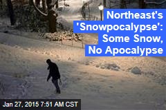 Northeast&#39;s &#39;Snowpocalypse&#39;: Some Snow, No Apocalypse