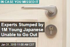 Experts Stumped by 1M Young Japanese Unable to Go Out