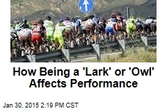 How Being a &#39;Lark&#39; or &#39;Owl&#39; Affects Performance