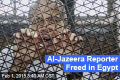 Al-Jazeera Reporter Freed in Egypt