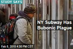 NY Subway Has Bubonic Plague
