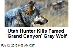 Utah Hunter Kills Famed &#39;Grand Canyon&#39; Gray Wolf