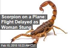 Scorpion on a Plane: Flight Delayed as Woman Stung