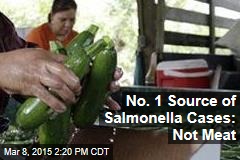 No. 1 Source of Salmonella Cases: Not Meat