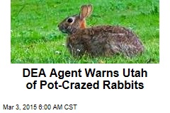 DEA Agent Warns Utah of Pot-Crazed Rabbits