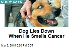 Trained Dog Can Smell Your Cancer