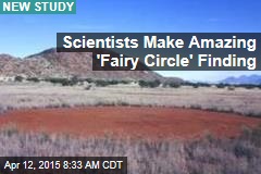 Scientific Wonder: &#39;Fairy&#39; Circles Laid Out Like Skin Cells
