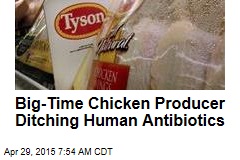 Big-Time Chicken Producer Ditching Human Antibiotics
