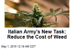 Italian Army&#39;s New Task: Growing Cheap Weed