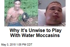 Why It&#39;s Unwise to Play With Water Moccasins