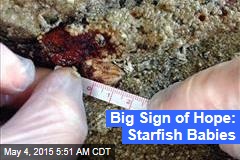 Big Sign of Hope: Starfish Babies
