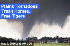 Plains Tornadoes Trash Homes, Free Tigers