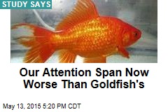Our Attention Span Worse Than That of a Goldfish