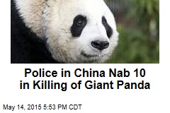 Police in China Nab 10 in Killing of Giant Panda