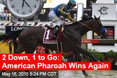 2 Down, 1 to Go: American Pharoah Wins Again