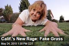Calif.&#39;s New Rage: Fake Grass