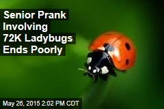Senior Prank Involving 72K Ladybugs Ends Poorly