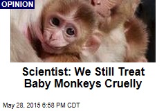 Scientist: We Still Treat Baby Monkeys Cruelly