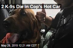 2 K9s Die in Cop&#39;s Hot Car