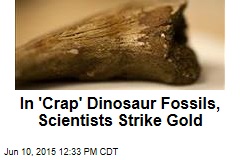 In &#39;Crap&#39; Dinosaur Fossils, Scientists Strike Gold