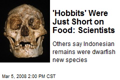 'Hobbits' Were Just Short on Food: Scientists