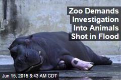 Zoo Demands Investigation Into Animals Shot in Flood