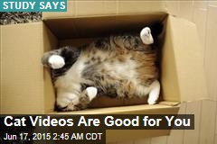 Cat Videos Are Good for You