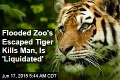 Flooded Zoo&#39;s Escaped Tiger Kills Man, Is &#39;Liquidated&#39;