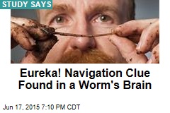 Eureka! Navigation Clue Found in a Worm&#39;s Brain