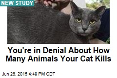 Your Cat May Be Much More of a Killer Than You Think