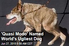 &#39;Quasi Modo&#39; Named World&#39;s Ugliest Dog
