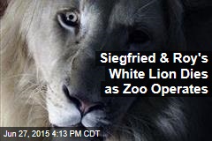 Siegfried &amp; Roy&#39;s White Lion Dies as Zoo Operates