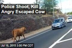 Police Shoot, Kill Angry Escaped Cow