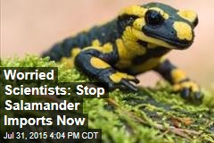 Worried Scientists: Stop Salamander Imports Now