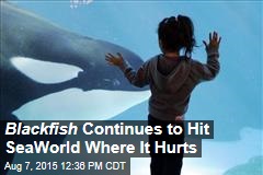 Blackfish Continues to Hit SeaWorld Where It Hurts