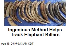Ingenious Method Helps Track Elephant Killers