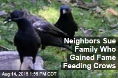 Suit: Girl&#39;s Crow-Feeding Is Murder on Neighborhood