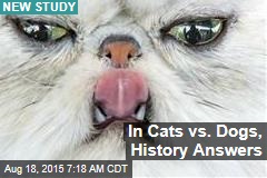 In Cats vs. Dogs, History Answers