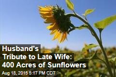 Husband&#39;s Tribute to Late Wife: 400 Acres of Sunflowers