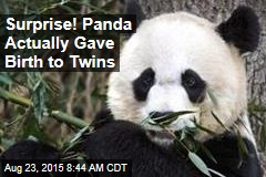 Surprise! Panda Actually Gave Birth to Twins