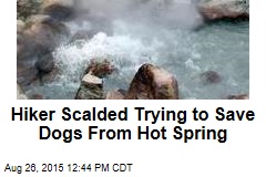 Hiker Scalded Trying to Save Dogs From Hot Spring