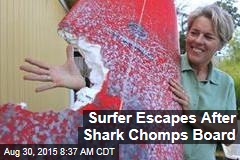 Surfer Escapes After Shark Chomps Board