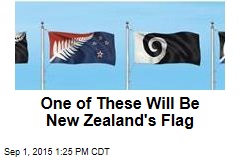 One of These Will Be New Zealand&#39;s Flag