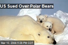 US Sued Over Polar Bears