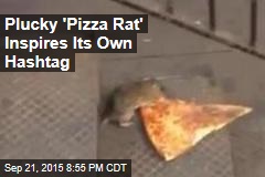 Viral Video Captures the &#39;Pizza Rat&#39; in Action