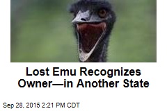 Lost Emu Recognizes Owner&mdash;in Another State