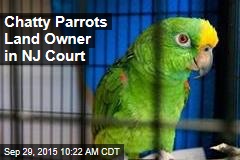 Chatty Parrots Land Owner in NJ Court