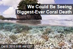 We Could Be Seeing Biggest-Ever Coral Death