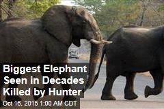 Hunter Pays $60K, Kills Huge Elephant